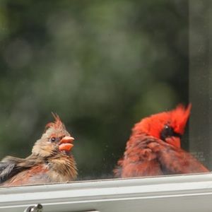 Meet your Posher, Yafang